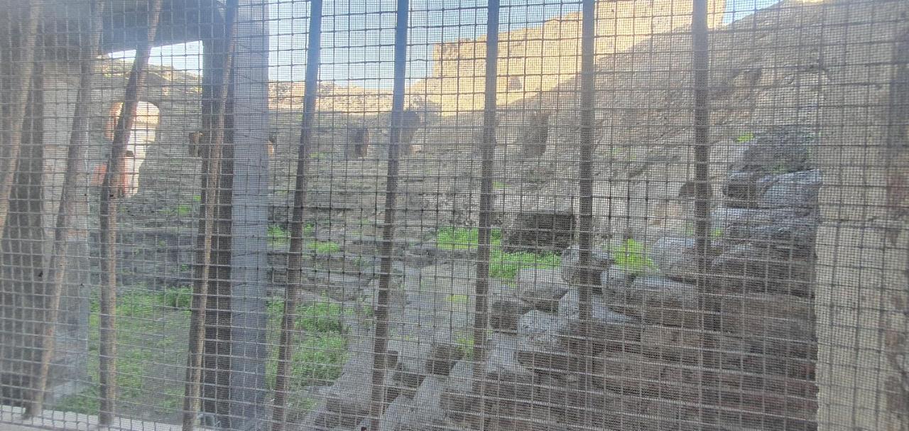 Apartament Domus Odeon La Casa Nel Parco Archeologico Di Katania Zewnętrze zdjęcie